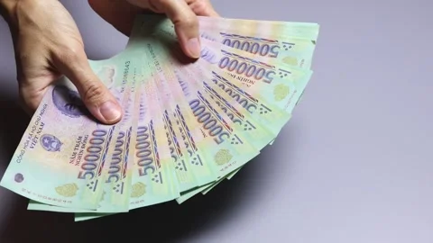 Female hands fanning out a stack of Vietnamese dong notes. Stock Footage 304693632