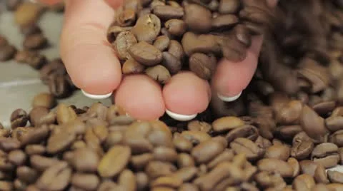 Female hands gathering coffee beans Stock Footage 24672371