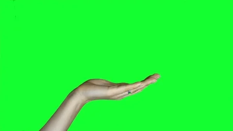 Female hands on green screen. 動画素材 71305372