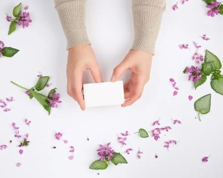 Female hands hold a rectangular blank business card over a white surface with 스톡 사진