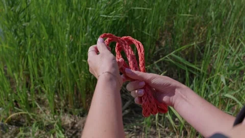 Female Hands Holding Orange Braided Tow Rope in Green Tall Grass Stock Footage 344769578