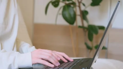 Female hands on the keyboard close-up. The concept of remote work, freelancing Stock Footage 149167933