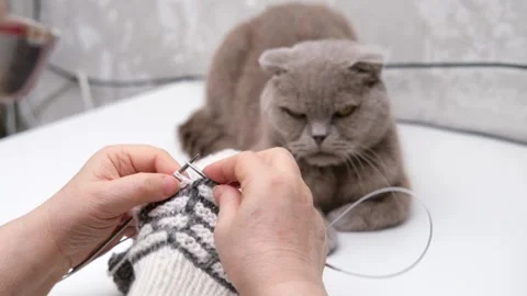 Female hands knitting close-up Video stock 286970076