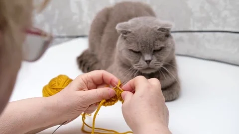 Female hands knitting close-up Stock Footage 286970345