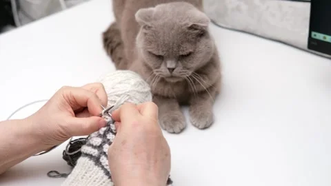 Female hands knitting close-up Video stock 287433948