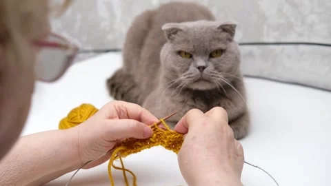 Female hands knitting close-up Video stock 287435349