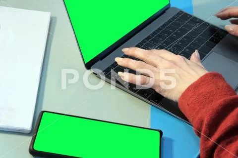 Female hands on the laptop keyboard. Work in an office or freelance. A templa Stock Photos