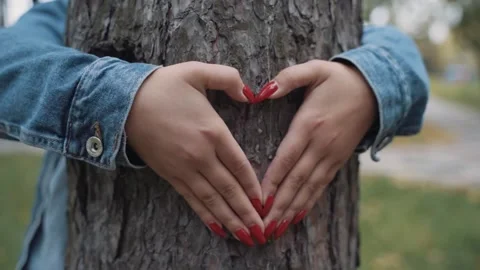 Female hands making an heart shape on a trunk of a tree. Great ecology concept Video stock 140036006