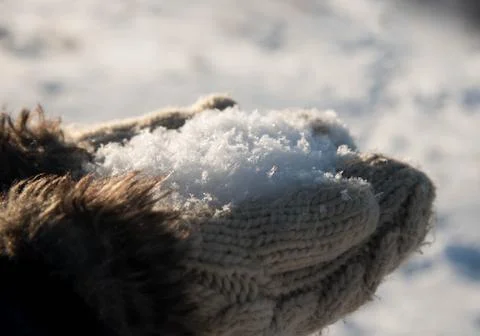 Female hands in mittens and snow on white background Stock Photos