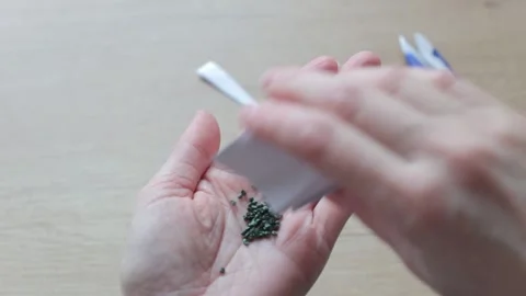 Female hands open a package with oxybishen onion seeds. A package of onion seeds Stock-Footage 265402055
