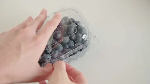 Female hands open transparent container and take blueberries Stock Footage 161478349