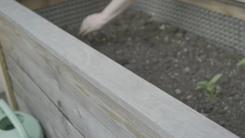 Female hands preparing the soil in the high garden bed Stock Footage 157604059