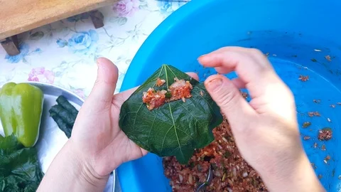 Female hands preparing stuffed vine, grape leaves with rice and meat. Видео 118377507
