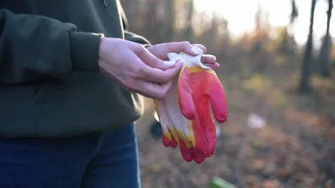 Female hands put on gloves close-up. The concept of environmental protection Stock Footage 119989329