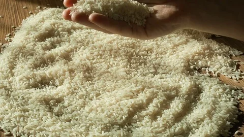 Female hands selecting best rice for cooking, hand touching grain, healthy diet Stock Footage 71978152