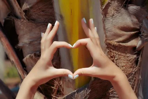 Female hands showing heart symbol Stock Photos