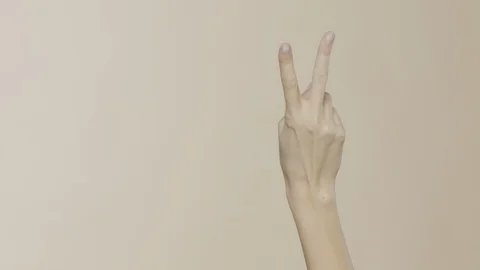 Female hands on simple background Stock-Footage 102264885