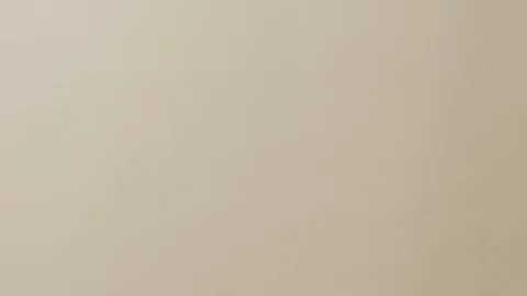 Female hands on simple background Stock-Footage 102269242