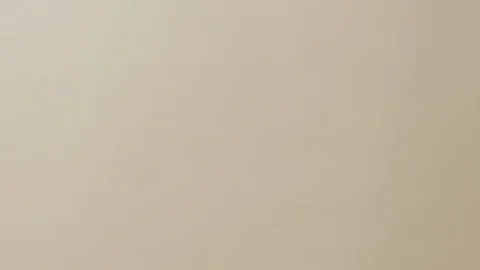 Female hands on simple background Stock-Footage 102278095