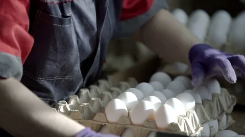 Female hands sorting eggs in the factory Stock Footage 85266803