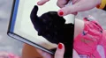 female hands with tablet computer, outdoors HD Footage