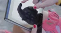 female hands with tablet computer,outdoors HD Footage