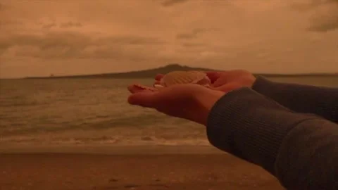 Female hands throw seashells on the beach 스톡 동영상 131881233