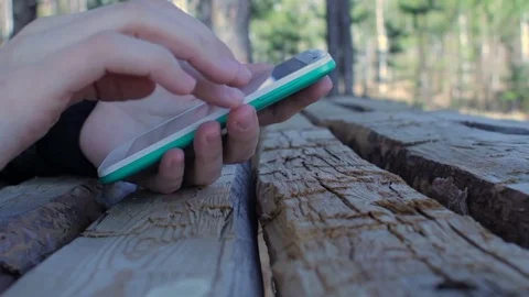 Female hands using smartphone in beautiful nature background wooden table forest Stock Footage 75682436