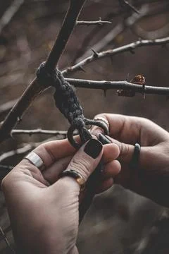 Female hands weaving a macrame braid on a tree branch Stock Photos