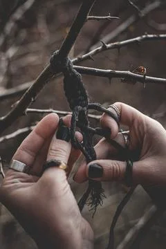 Female hands weaving a macrame braid on a tree branch Stock Photos