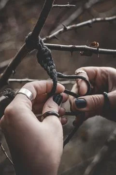 Female hands weaving a macrame braid on a tree branch Stock Photos
