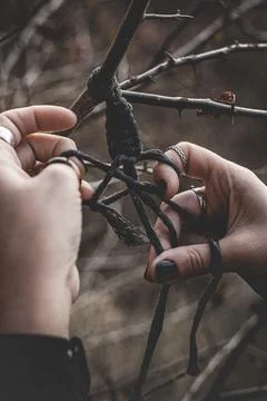 Female hands weaving a macrame braid on a tree branch Stock Photos