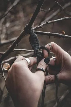 Female hands weaving a macrame braid on a tree branch Stock Photos