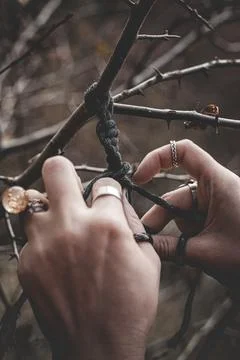 Female hands weaving a macrame braid on a tree branch Stock Photos