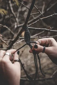 Female hands weaving a macrame braid on a tree branch Stock Photos