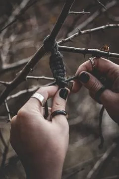 Female hands weaving a macrame braid on a tree branch Stock Photos