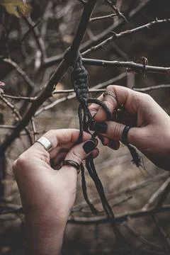 Female hands weaving a macrame braid on a tree branch Stock Photos