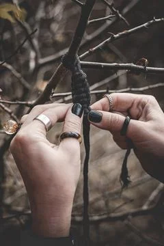 Female hands weaving a macrame braid on a tree branch Stock Photos
