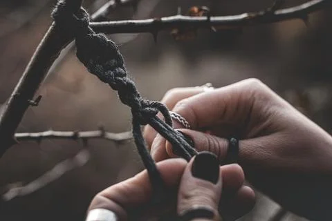Female hands weaving a macrame braid on a tree branch Stock Photos