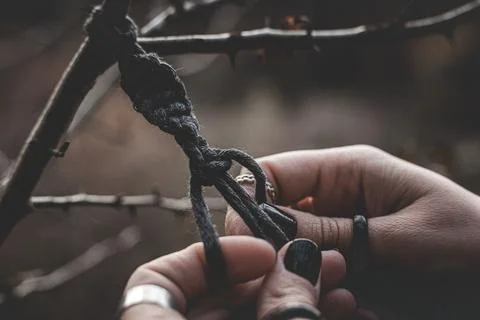 Female hands weaving a macrame braid on a tree branch Stock Photos