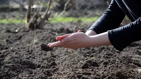 Female hands working the land Stock Footage