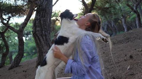 Female having fun with the dog Stock Footage 282089282