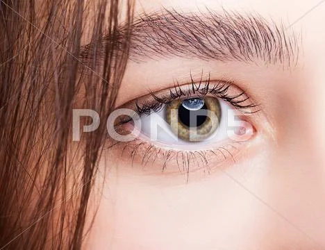 Female hazel eye makeup Stock Photos