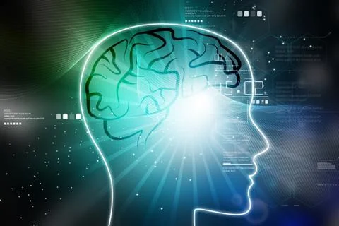 Female head with brain Stock Illustration