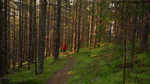 Female Hiker with Backpack Walking Through a Forest 스톡 동영상 339774391