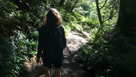 Female Hiker Descends Switchbacks on Forest Trail Stock Footage 158360993