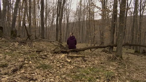 Female hiker sitting on a fallen tree to rest. Lady alone in Hoia Baciu Stock Footage 106695212