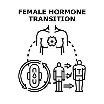 Female hormone transition process concept vector illustration Stock Illustration