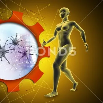 Female human body Stock Illustration