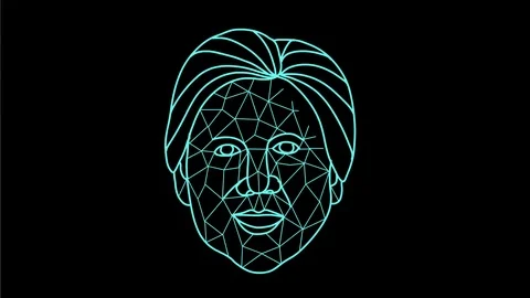 Female Human Face Recognition Low Polygon Mesh 2D Animation Stock Footage 117003338